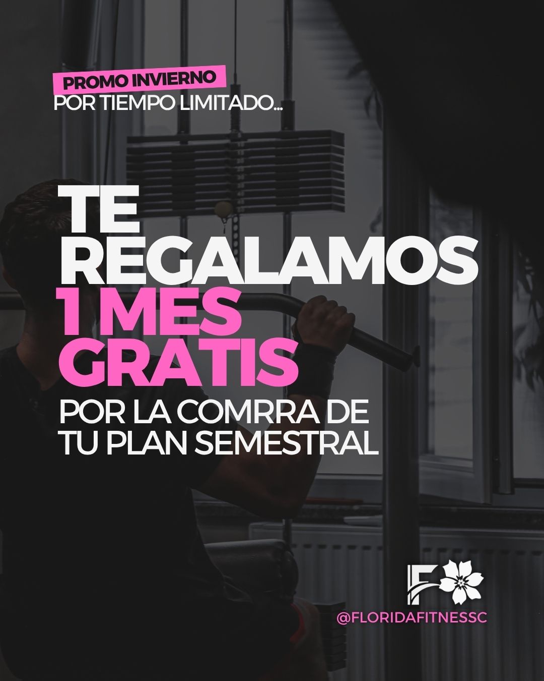 Plan Semestral